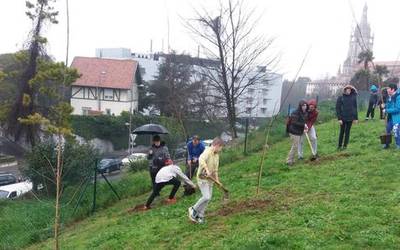850 zuhaitz berri Bilbon