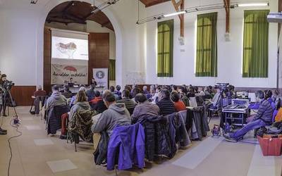 Euskal Herriko hainbat esperientzia, Aiaraldea euskalduntzen jarraitzeko abiapuntu
