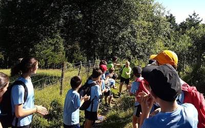 Pilota eta hamaika kirol gehiagoko udalekuak