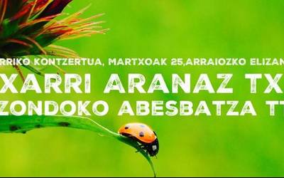 Udaberriko kontzertua eskainiko dute Etxarri Aranaz eta Elizondoko Abesbatza ttikiek Arraiozen