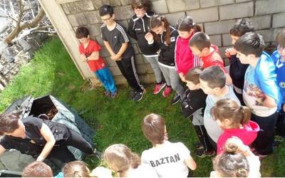 Konposta egin dute Baztan Ikastolan