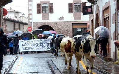 Esne sektorearen aldeko manifestazioa Elizondon