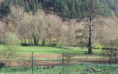 Auzolanaren bidez herri ortuak atonduko dituzte Atxondon