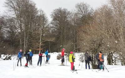 Natur-parkeko bisitariak, gora