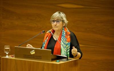 Marisa de Simon izango da Nafarroako Ezker Batuko koordinatzaile berria