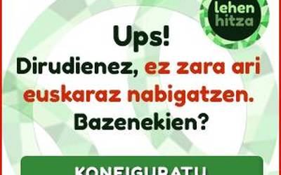 Goienako irakurleen %95ak euskara ez den beste hizkuntza batean du nabigatzailea