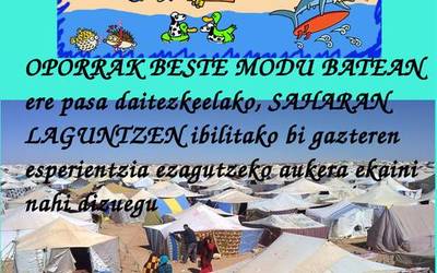 Opor alternatiboak