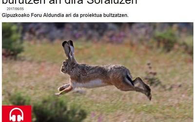 Soraluzen erbiak birpopulatzeko egitasmoaz Euskadi Irratian