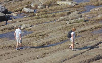 Zumaia eta Zarautz artean babes neurriak zorroztea eskatu du Greenpeacek