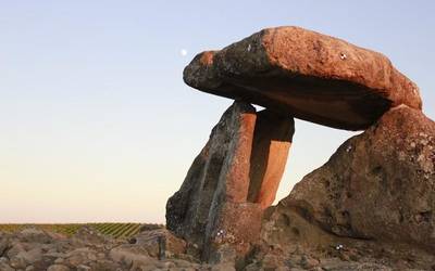 Mahastien artean banatuta dauden trikuharri asko ditu ikusgai Arabako Errioxak