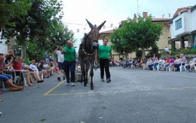 San Bartolome jaiak ospatuko dituzte Oikian bihartik aurrera