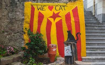 We ere ❤ CAT