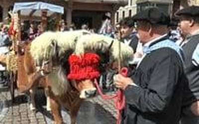 Euskal Jai Eguneko goizeko giroa irudietan