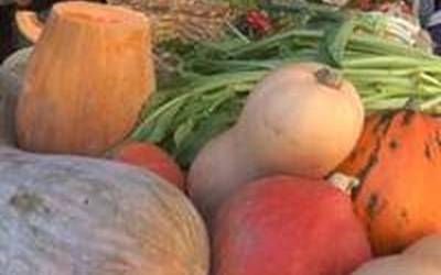 Igandean ospatuko da Nekazaritza ekologikoko azoka