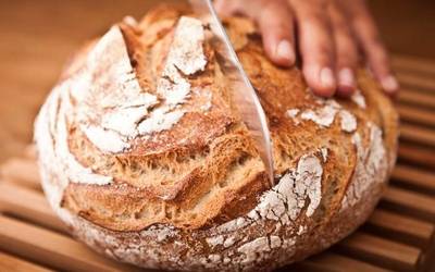 Ogi kulturaren aldeko apustua