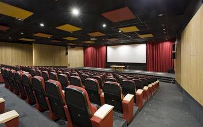 Emakumeek zuzendutako pelikulak ikusgai, Filmotekan