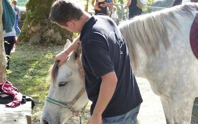 Mendi ganadu feria arrakastatsua Elosuan