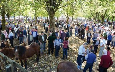 Udazkeneko lehen azienda feria ospatuko dute Elizondon urriaren 27an eta 28an