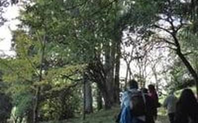 Vista Alegre parkea balioen ikuspegitik egokitzeko hainbat lan egingo dira