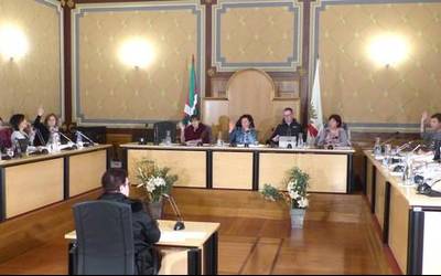 Bergarako Udaleko ezohiko osoko bilkura: 2017-11-15