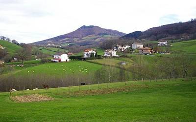 Bidasoa eta Baztan bailaretan, usoak lagun