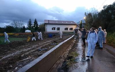 Obrek botatako zuhaitz bat utzi dute Algortako Batzokian, "Tosuko txikizioa" salatzeko