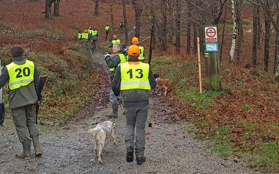 San Silbestre torneoa, gaur