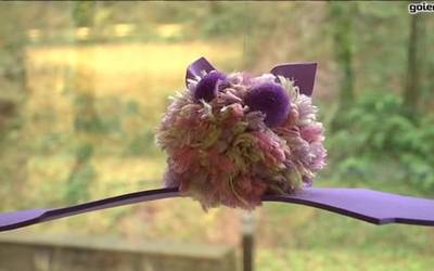 Saguzarrak gertutik ezagutzen