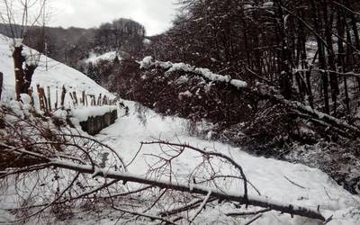 Leitzako Udalak elurteak eragindako argindar etenaldien kalteak erreklamatzeko bulegoa irekiko du