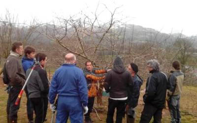 Inausketa eta txertaketa ikastaroa antolatu dute Etxalarren otsailaren 3an