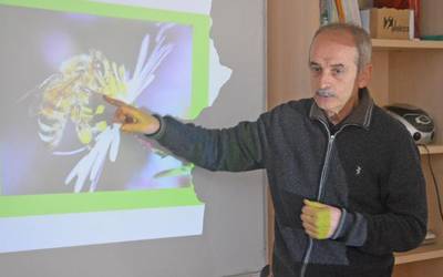Apiterapiaz ariko dira gaur ere, eta eskulanetan gaur zortzi
