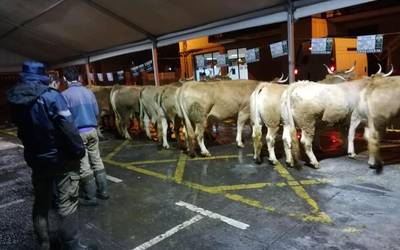 Dena prest San Blas azokak milaka bisitari hartzeko