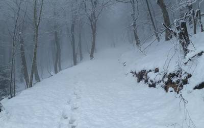 Abisu horia luzatu dute asteazkenera arte, elurragatik