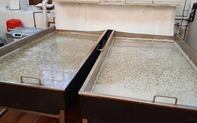 Beste dorla bat martxan jarrita, probak egiten ari dira egunotan