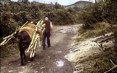 “Kuxetagileak” dokumentala ostegunean Filmotekan