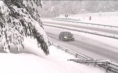 Elerta laranja elurragatik Nafarroa iparraldean