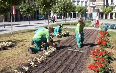 Lorez beteko dute laster Iruñea 85.000 landare desberdinekin
