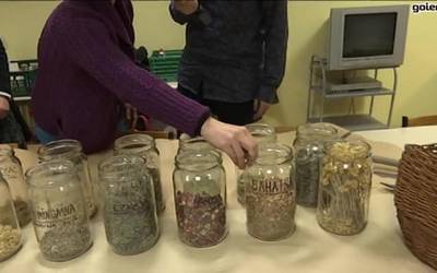 Sendabelarren gaineko ikastaroa, Ekoudalatxen eskutik