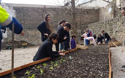 Txantrean, Arrotxapean, Sanduzelai eta Mendabalean hiri-baratzeak egonen dira 2018an