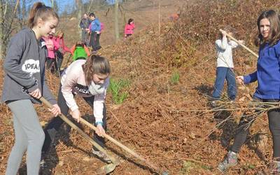 Sagardotegien bidetik korrika egin edo zuhaitz berriak landatu, bi plan aukeran