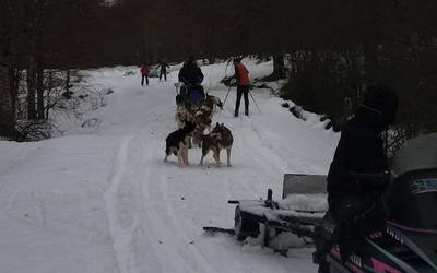 Elurraren egunean, gozatu ederra