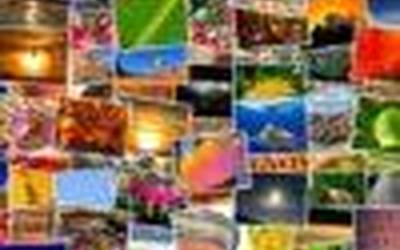 Erabiltzen  duzu  Pixabay  Images  3.0  plugina?