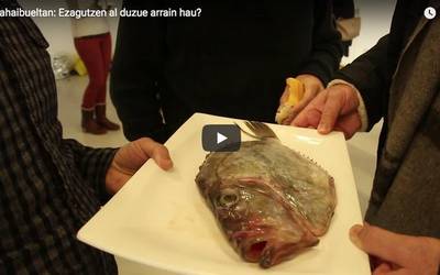 Ezagutzen al duzu arrain hau?