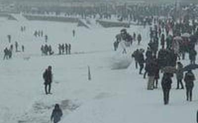 Elurtuta eta zurituta esnatu da Zarautz