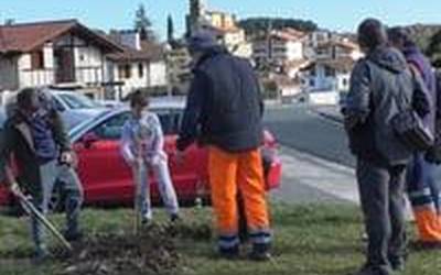10 sagarrondo landatu dituzte Olaberriko Zuhaitz Egunean