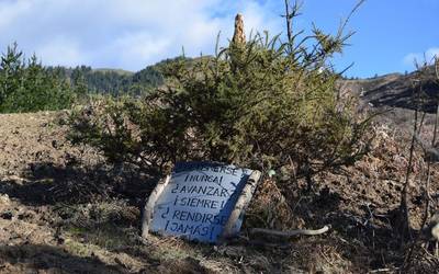 Eskualdeko hainbat lasterkari aritu ziren Mugagabe Trailean eta Iñaki Isasi izan zen lehena helmugara iristen