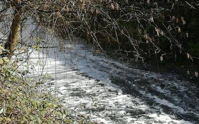 Elorrioko erreka bitsez beteta agertu da