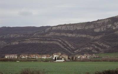 Kontzejuek biztanleriari eusten diote