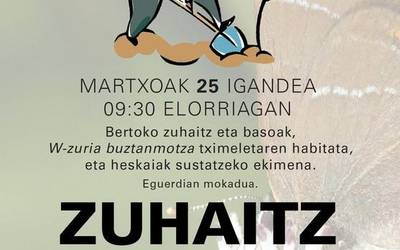 Zuhaitz landaketa egingo da igandean Elorriagan