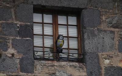 Usoak uxatzeko hontza